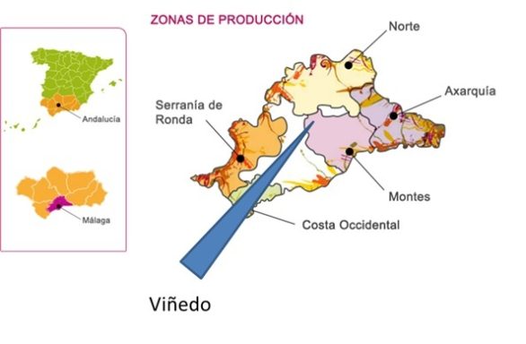 Situación de Viñedo del Geva